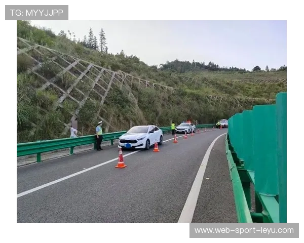 赛车高速爆胎险酿事故