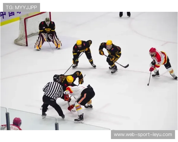 冰球世界杯北美队展现惊人速度与力量，北美冰球职业联赛总决赛