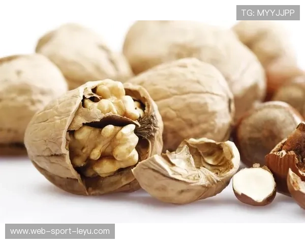 涉坚果进口贸易，中国启动调查程序，坚果进口贸易可行性研究