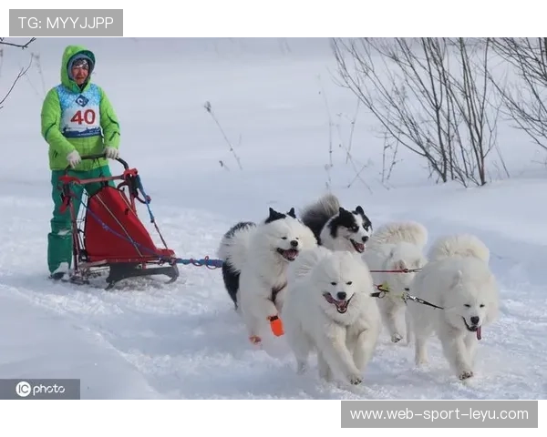 雪橇锦标：俄罗斯冲击纪录，金牌在望！，俄罗斯雪橇部队